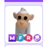 MFR ALBINO MONKEY