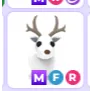 MFR ARCTIC REINDEER