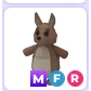 MFR KANGAROO