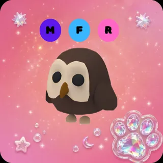 MFR Owl