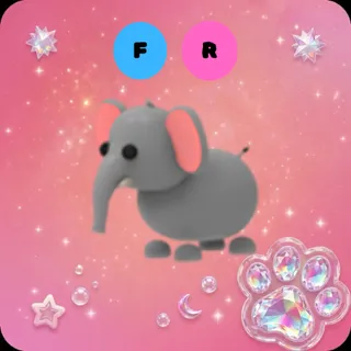 FR Elephant