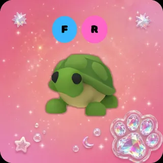 FR Turtle