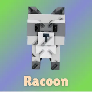 Racoon