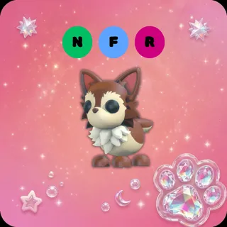 NFR Chihuahua