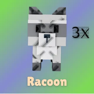 Racoon