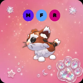 MFR Munchkin Cat