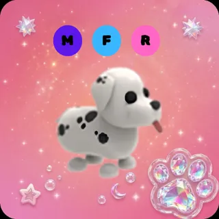 MFR Dalmatian