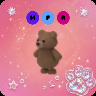 MFR Brown Bear