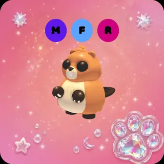 MFR Ranger Beaver