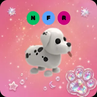NFR Dalmatian