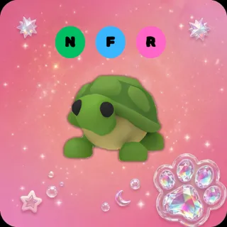 NFR Turtle