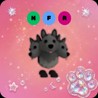 NFR Cerberus