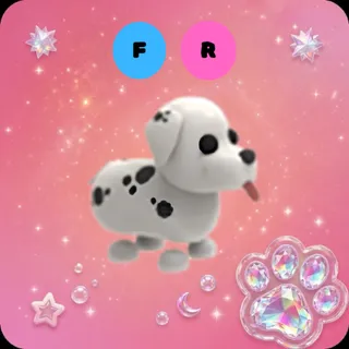 FR Dalmatian