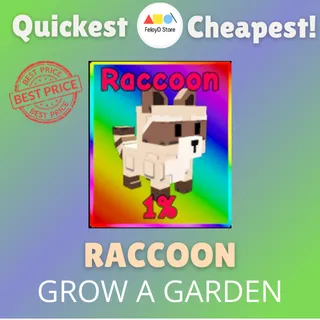 Raccoon
