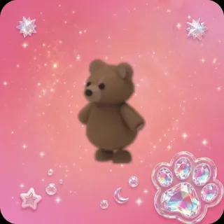Brown Bear