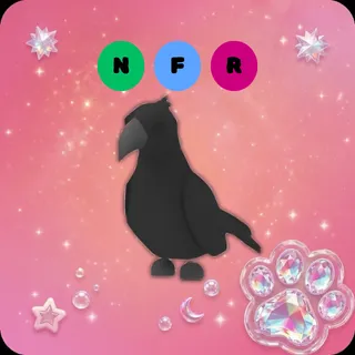 NFR Crow