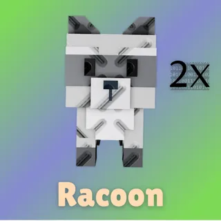 Racoon
