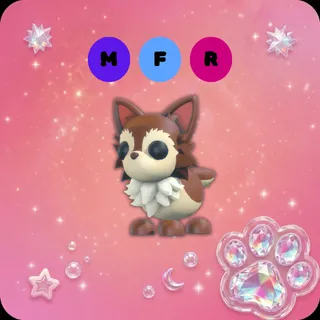 MFR Chihuahua