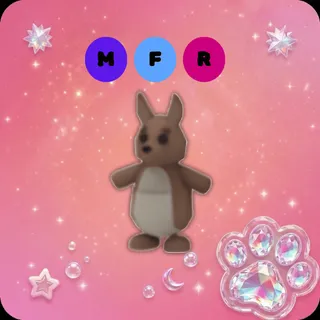 MFR Kangaroo