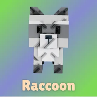Raccoon