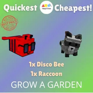 Raccoon