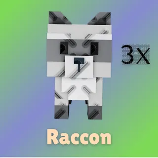 Raccon