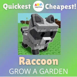 Raccoon