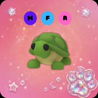 MFR Turtle