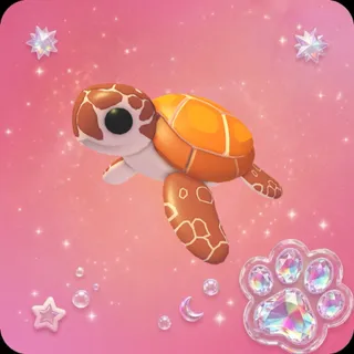 Sea Turtle