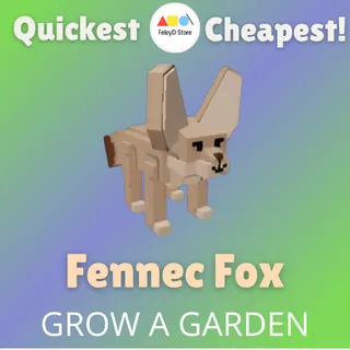 Fennec Fox