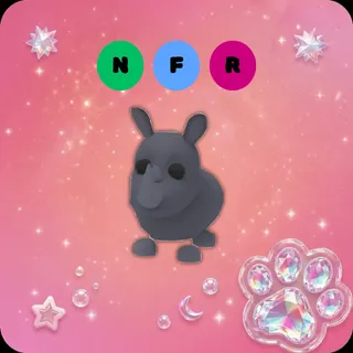 NFR Rhino