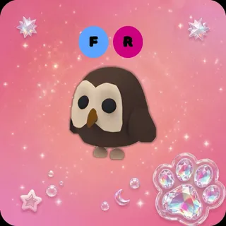 FR Owl