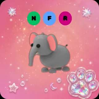 NFR Elephant