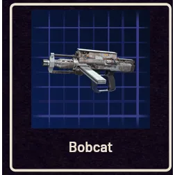 Bobcat