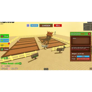 JANDEL MONKEY ADMIN PET 1/1 5K TOTAL
