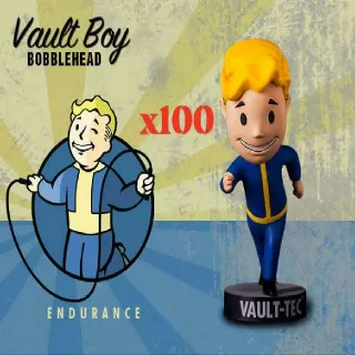Endurance Bobblehead 100