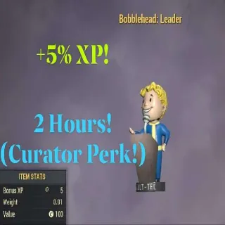 Bobblehead Leader x500