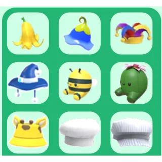 Hat pet wear bundle