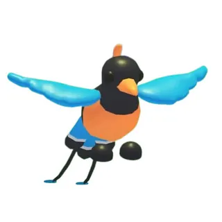 Bird of Paradise