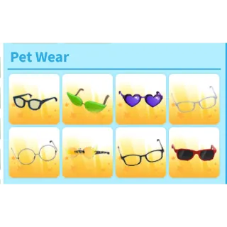 Glasses pet wear bundle