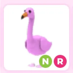 NR Flamingo