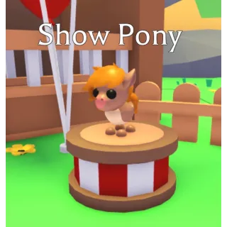 Show Pony x 4