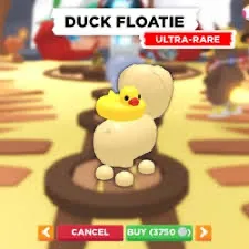 Duck floatie