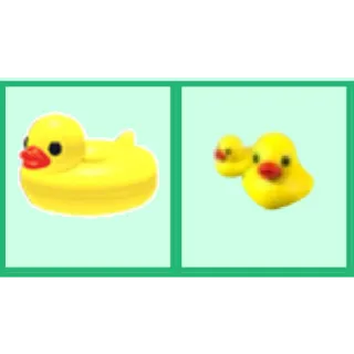 Rubber ducks Duck floatie