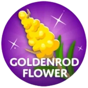 Goldenrod flower