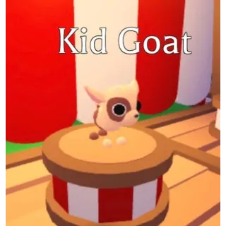 Kid goat x 4