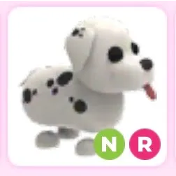NFR Dalmatian 