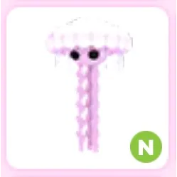 N Jellyfish 