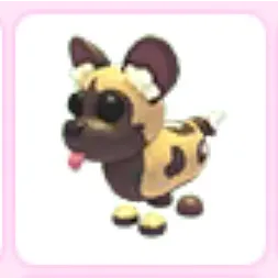 African wild dog no potion