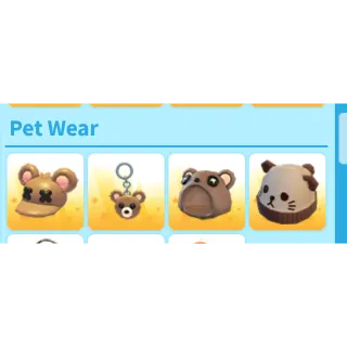 Bear pet wear bundle